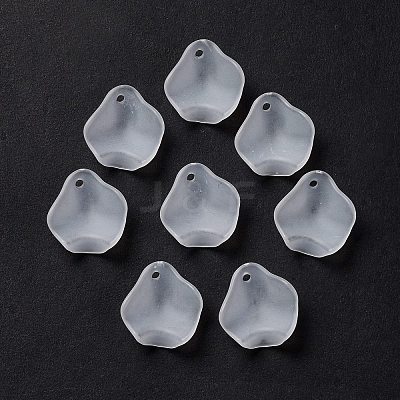 Frosted Acrylic Pendants OACR-G014-02-1