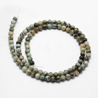 Natural African Turquoise(Jasper) Beads Strands G-D840-90-8mm-1