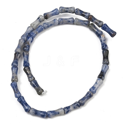 Natural Blue Spot Jasper Beads Strands GG-CBAEB22-A04-01-1