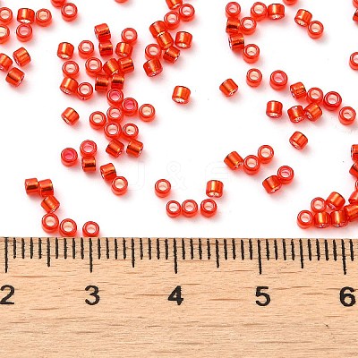Glass Seed Beads SEED-S042-04B-10-1