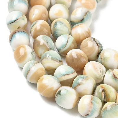 Natural Seashell Shell Beads Strands SH-CBAFEDD-01A-1