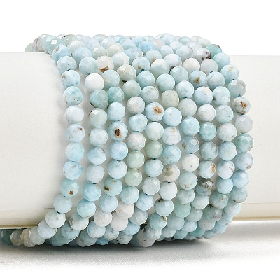 Natural Larimar Beads Strands G-B175-D08-4mm-1