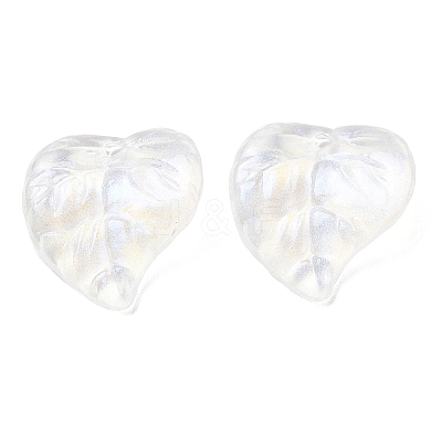 Transparent Acrylic with Glitter Pendants OACR-C016-21-1