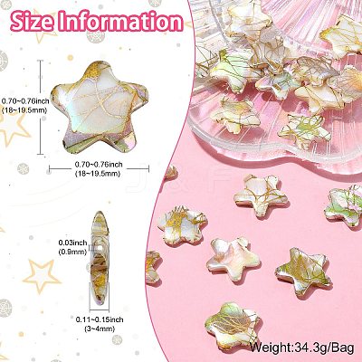 20Pcs Drawbench Style Natural Freshwater Shell Beads BSHE-CJ0001-08-1