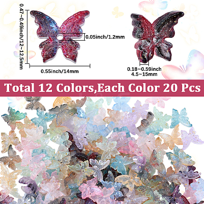 240Pcs 12 Colors Glass Beads DGLA-SC0001-04-1