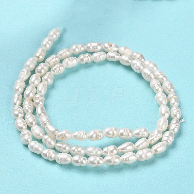 Natural Cultured Freshwater Pearl Beads Strands PEAR-E016-146-1
