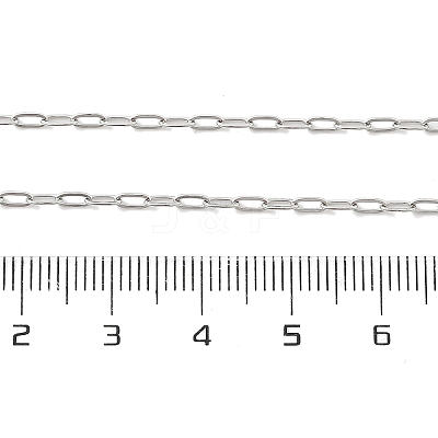 Non-Tarnish 304 Stainless Steel Paperclip Chain Necklace with Lobster Claw Clasps for Men Women NJEW-H205-03P-01-1