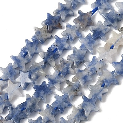 Natural Blue Spot Jasper Beads Strands G-F817-A12-01-1