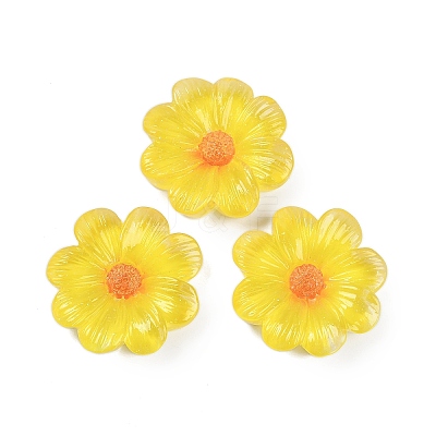 Flower Series Resin Cabochons CRES-Q008-01F-1
