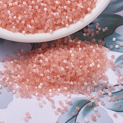 MIYUKI Delica Beads X-SEED-J020-DB0825-1