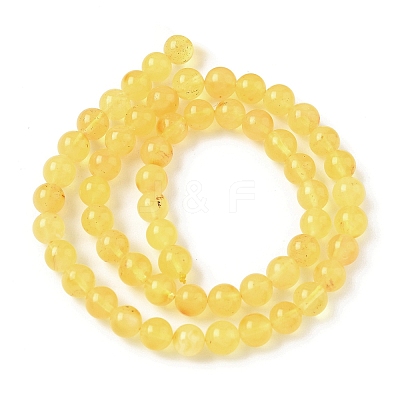 Natural Amber Beads Strands G-L095-B01-6mm-01-1