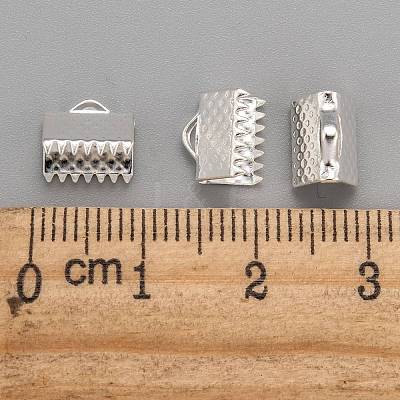 Iron Ribbon Crimp Ends E004Y-S-01-1