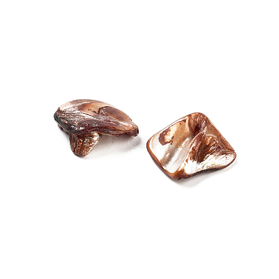Natural Freshwater Shell Beads BSHE-S028-3-1