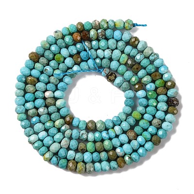 Natural Howlite Beads Strands G-H025-03A-01-1