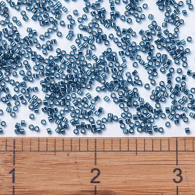 MIYUKI Delica Beads X-SEED-J020-DB0608-1