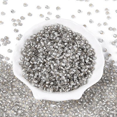 Silver Lined Glass Seed Beads SEED-T007-18A-02-1