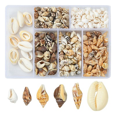 6 Styles Natural Mixed Cowrie Shell Beads Sets BSHE-YW0001-05-1