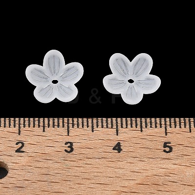 Acrylic Frosted Bead Caps AC-CBA81FF-02A-1