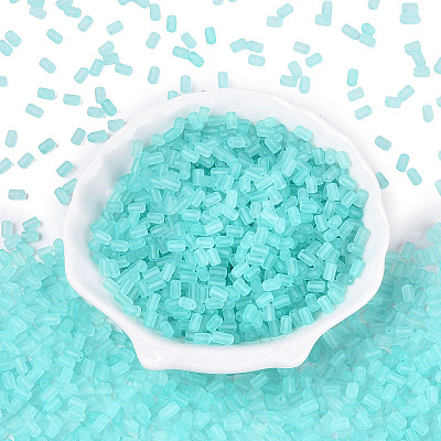 FGB Frosted Transparent Glass Seed Beads SEED-N013-05A-10-1