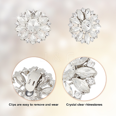 AHADEMAKER 4Pcs 2 Style Detachable Alloy Crystal Rhinestone Shoe Buckle Clips FIND-GA0002-15-1