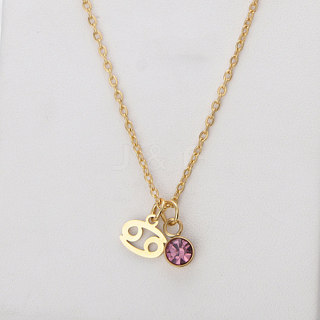 304 Stainless Steel Amethyst Rhinestone Birth Stone Constellation Pendant Necklaces FS-WG76580-06-1
