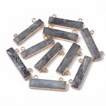 Natural Labradorite Charms X-G-S359-012B-1