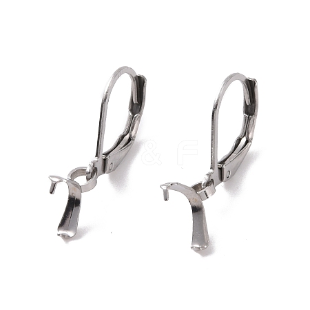 Tarnish Resistant 304 Stainless Steel Leverback Earring Findings X-STAS-G283-01P-1