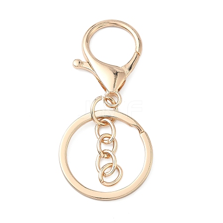 Alloy Keychain Clasps X-FIND-C084-10KCG-1