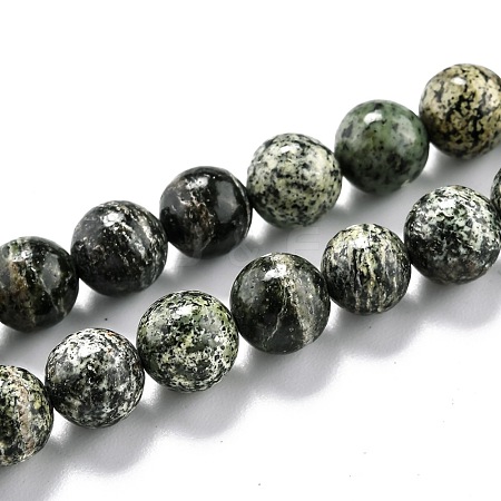 Natural Green Zebra Jasper Beads Strands G-L574-05B-1