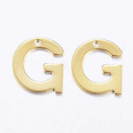 304 Stainless Steel Charms LS-X-STAS-P141-G-1