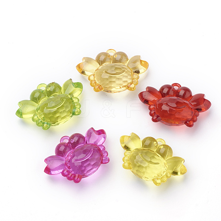 Transparent Acrylic Pendants TACR-T002-14-1
