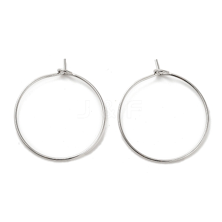 Iron Earring Findings IFIN-R211-01P-1