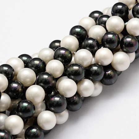 Polished Shell Pearl Bead Strands BSHE-F013-07C-1