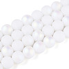 Frosted Opaque Glass Beads Strands LS-GLAA-T032-P10mm-MBB02-2