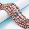 Natural Maifanite/Maifan Stone Beads Strands X-G-P451-01A-A-2