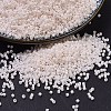 MIYUKI Delica Beads SEED-X0054-DB1490-1