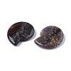 Natural Agate Home Display Decorations G-T131-12A-02-2