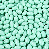 Baking Paint Glass Seed Beads SEED-T007-15K-3