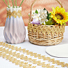 Polyester Lace Ribbons OCOR-WH0082-20A-5