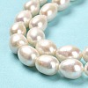Natural Cultured Freshwater Pearl Beads Strands PEAR-E016-193-4