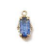 Brass Glass Charms LS-KK-U061-10G-02-1
