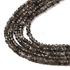 Natural Silver Sheen Obsidian Beads Strands LS-G-E608-A02-A-3