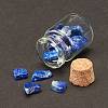 Transparent Glass Wishing Bottle Decoration DJEW-A001-01C-14-4