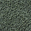 MIYUKI Round Rocailles Beads SEED-G007-RR0501-3