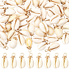60Pcs Natural Cowrie Shell Dyed Pendants FIND-SC0020-75-1