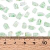 Transparent Spray Painted Glass Seed Beads SEED-L011-10A-15-4
