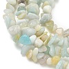 Natural Flower Amazonite Chips Beads Strands G-M205-12B-7