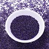 MIYUKI Delica Beads SEED-X0054-DB0609-2