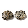 Natural Dalmatian Jasper Carved Healing Shell Figurines G-K353-03H-2