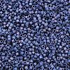 MIYUKI Delica Beads X-SEED-J020-DB2319-2